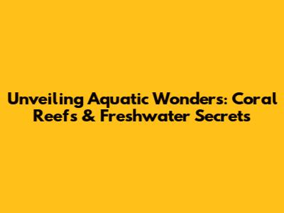 Unveiling Aquatic Wonders: Coral Reefs & Freshwater Secrets