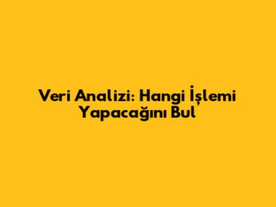 Veri Analizi: Hangi İşlemi Yapacağını Bul