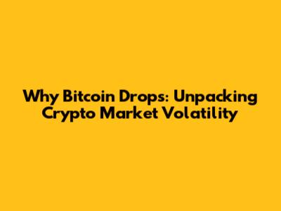 Why Bitcoin Drops: Unpacking Crypto Market Volatility