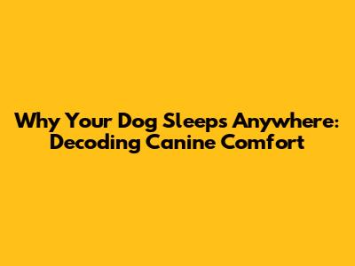 Why Your Dog Sleeps Anywhere: Decoding Canine Comfort