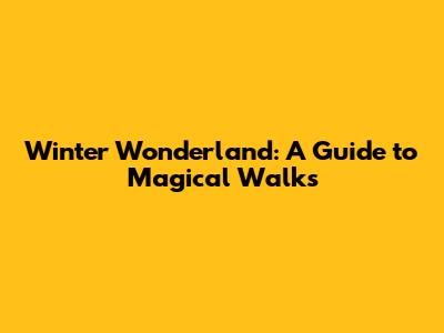 Winter Wonderland: A Guide to Magical Walks